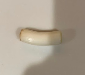 ネギ
