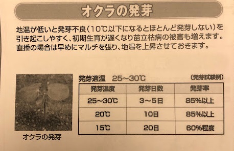 オクラの発芽