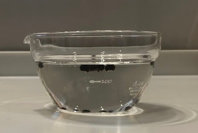 オクラの種